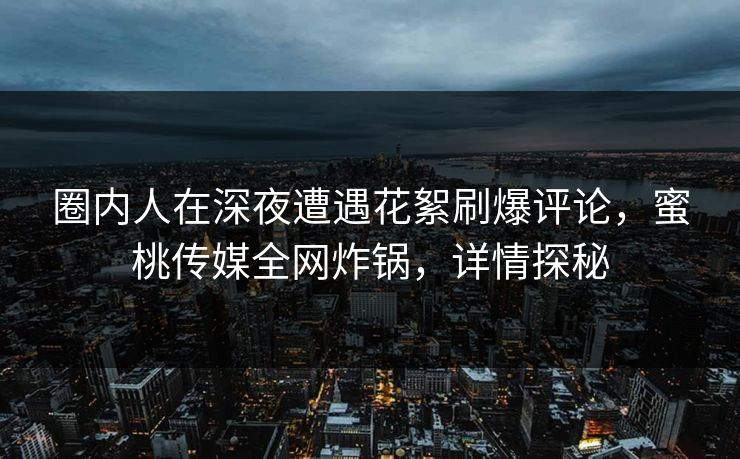 圈内人在深夜遭遇花絮刷爆评论，蜜桃传媒全网炸锅，详情探秘