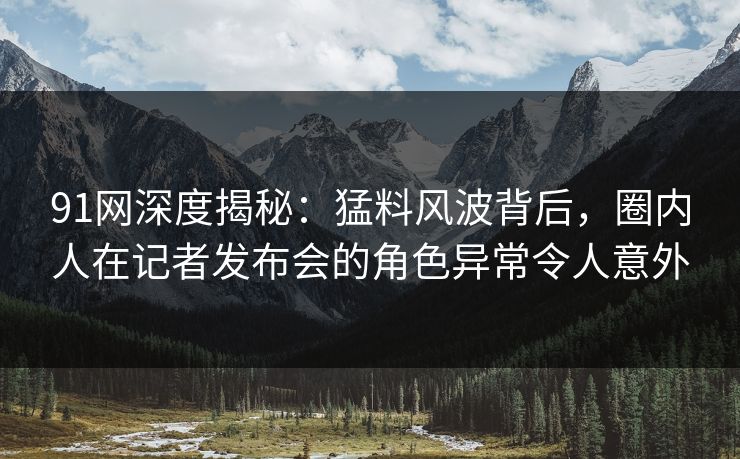 91网深度揭秘：猛料风波背后，圈内人在记者发布会的角色异常令人意外
