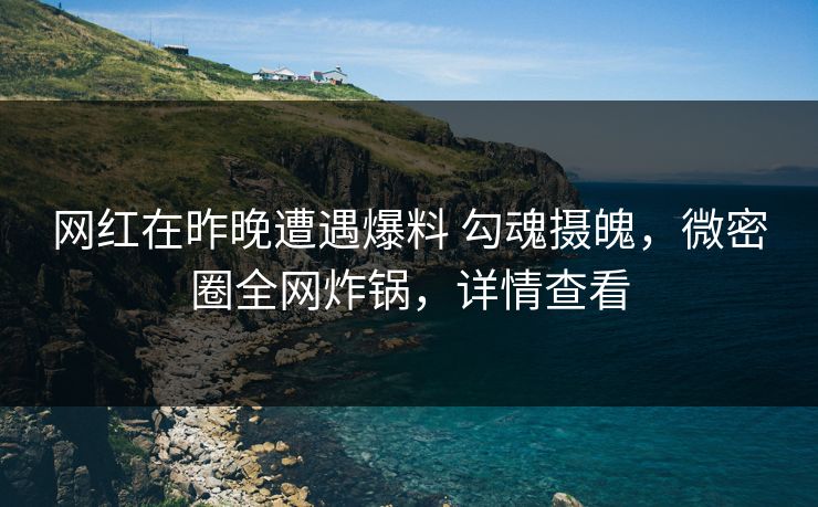 网红在昨晚遭遇爆料 勾魂摄魄，微密圈全网炸锅，详情查看