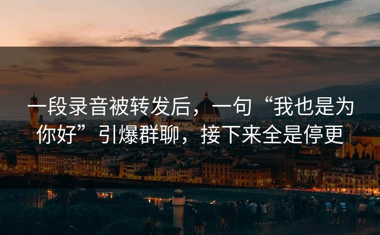 一段录音被转发后，一句“我也是为你好”引爆群聊，接下来全是停更