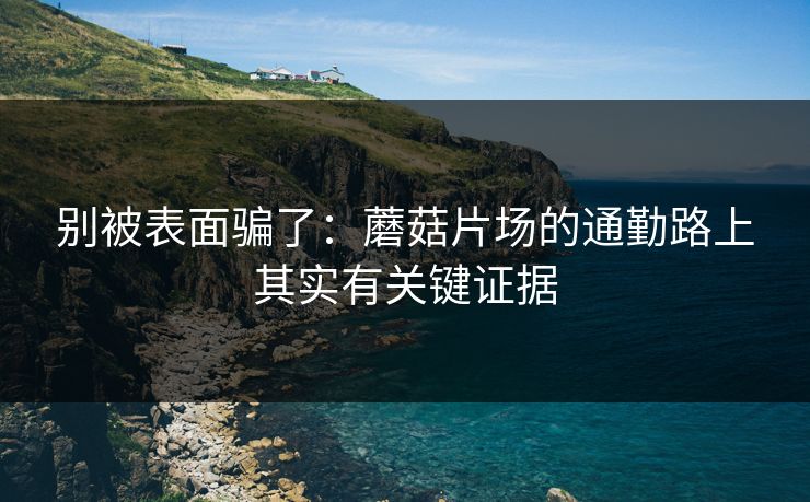 别被表面骗了：蘑菇片场的通勤路上其实有关键证据