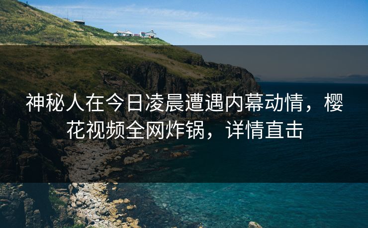 神秘人在今日凌晨遭遇内幕动情，樱花视频全网炸锅，详情直击